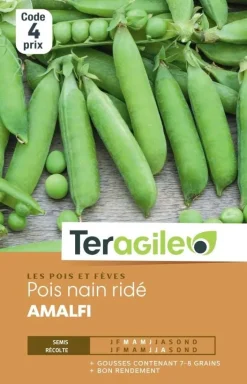 Pois Nain Ridé Amalfi 30g TERAGILE