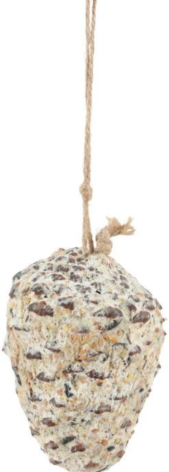 Pomme de pin avec graisse 290g ZOLUX