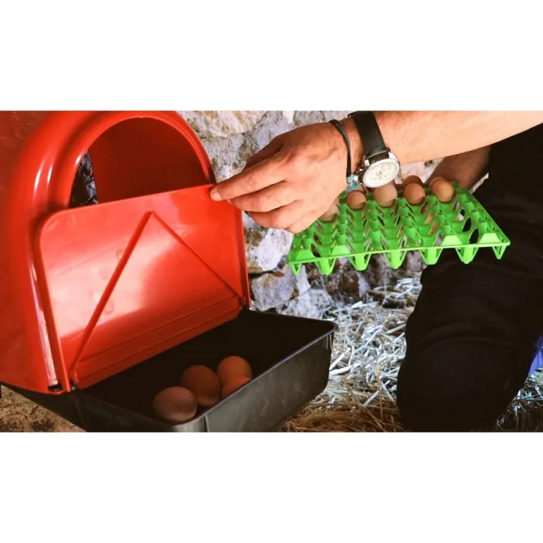 Pondoir en plastique rouge avec compartiment oeufs