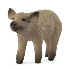 Porcelet Mangalica