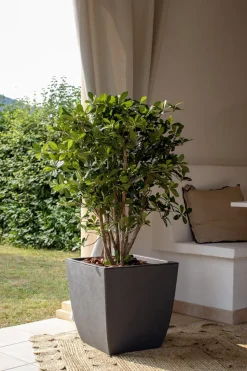 Pot carré Diva Basalt gris anthracite 42L EDA