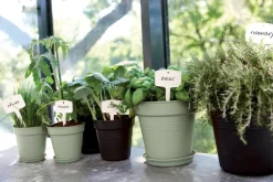 Pot de culture Green Basics Ø13cm Vert ELHO