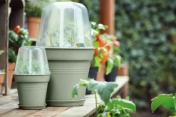 Pot de culture Green Basics Ø40cm Vert ELHO