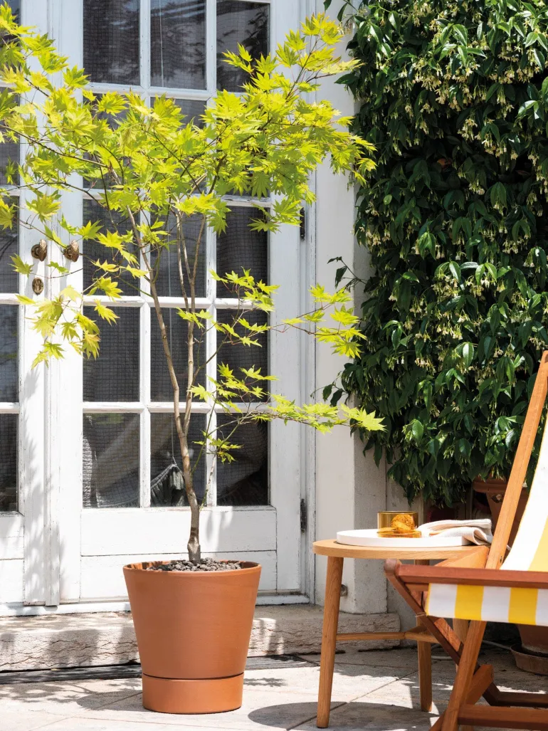 Pot Cono Modul'O Ø32,1x27,2cm 15,2L Cotto DEROMA