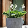Pot Cuvier rond Boracay Ø27,5 cm DEROMA