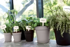 Pot de culture Green Basics Ø21cm violet ELHO