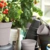 Pot de culture Green Basics Ø13cm violet ELHO
