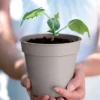 Pot de culture Green Basics Ø24cm violet ELHO