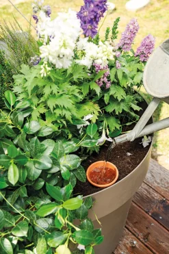 Pot d'irrigation Olla AquaDo 25x19,4 cm DEROMA