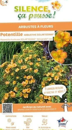 Potentille arbustive "Solar'issima" Pot 4L SILENCE ÇA POUSSE