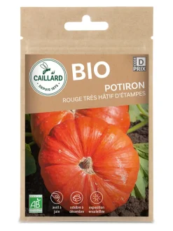 Potiron Rouge très Hatif d'Étampes Bio 3g CAILLARD