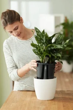 Pot Self-watering Insert Ø17cm Noir ELHO