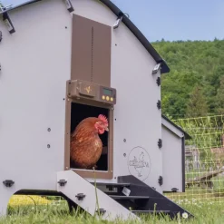 Poulailler Harmony 6 poules 108x128x91 cm CHICK'A