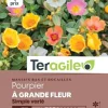 Pourpier à Grande Fleur Simple Varié 0,7g TERAGILE