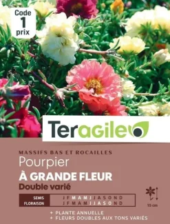 Pourpier à Grande Fleur Double Varié 0,7g TERAGILE