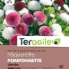Pâquerette Pomponnette Variée 0,2g TERAGILE