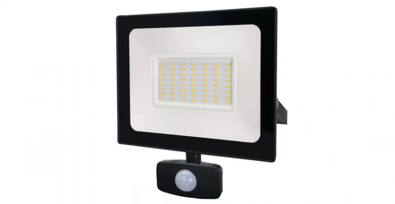 Projecteur extérieur LED noir IP54 avec détecteur