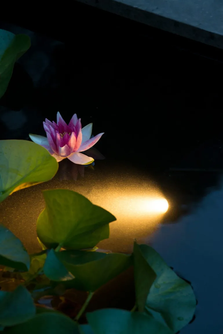 Projecteur de bassin étanche Aquaspolight Power Led