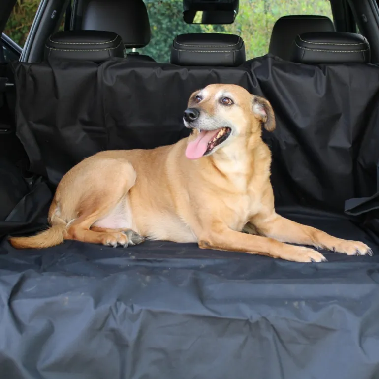 Protection de coffre de voiture imperméable pour animaux