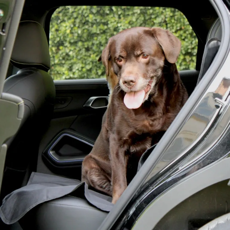 Protection de banquette voiture imperméable pour animaux