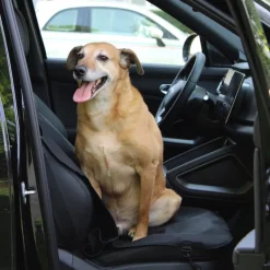 Protection de siège voiture imperméable pour animaux