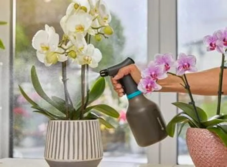 Pulvérisateur à gâchette 0,75L GARDENA