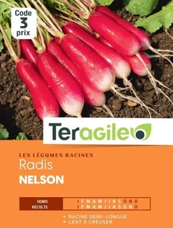 Radis Nelson 9g TERAGILE