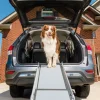 Rampe télescopique Deluxe 2 parties PETSAFE