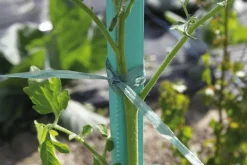 Raphia synthétique prédécoupé Vert 0,5m 200g