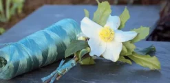 Raphia synthétique vert 100gr