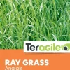Ray grass anglais 500g TERAGILE