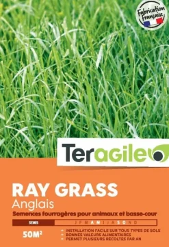 Ray grass anglais 500g TERAGILE