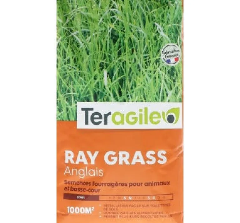 Ray grass anglais 10kg TERAGILE