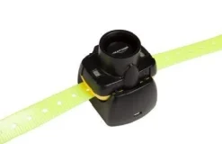 Repérage sonore (Beeper) - Canibeep 5 NUM'AXES