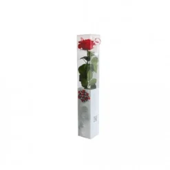 Rose éternelle premium rouge D7/8