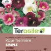 Rose Trémière Simple Variée 2g TERAGILE