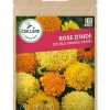 Rose d'Inde double Grande Variée 2g CAILLARD
