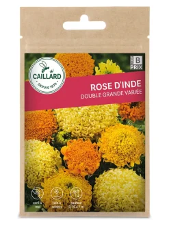 Rose d'Inde double Grande Variée 2g CAILLARD