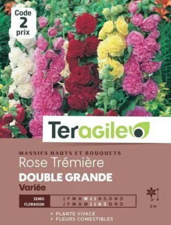 Rose Trémière Double Grande Variée 2g TERAGILE