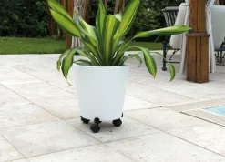 Roule plante extensible Basics noir brillant Ø27/37 cm