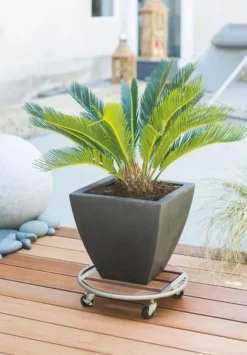 Roule-pot rond métal Flora Roll Wood gris Ø35 cm NORTENE