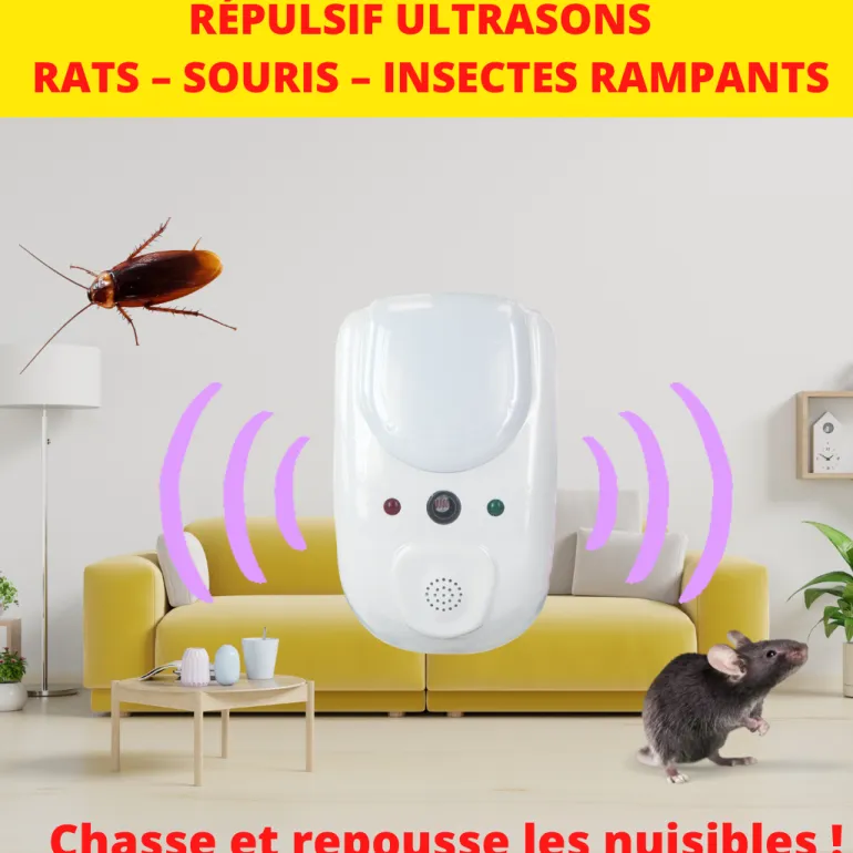Répulsif ultrasons rats - souris - insectes rampants