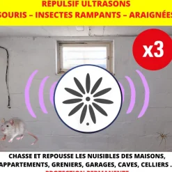 Répulsif à ultrasons souris et insectes rampants (x3)