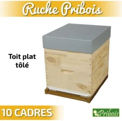 Ruche à toit plat tôlé Dadant 10 cadres PRIBOIS