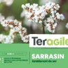 Sarrasin 250g
