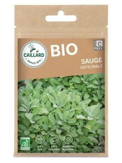 Sauge Officinale Bio 2g CAILLARD