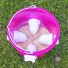 Seau mangeoire pour volaille rose transparent 12L KERBL