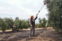Secoueur d'olives à batterie (produit seul) SPA140 STIHL