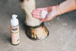 Shampoing à sec Easy shine Mouss 200ml RAVENE