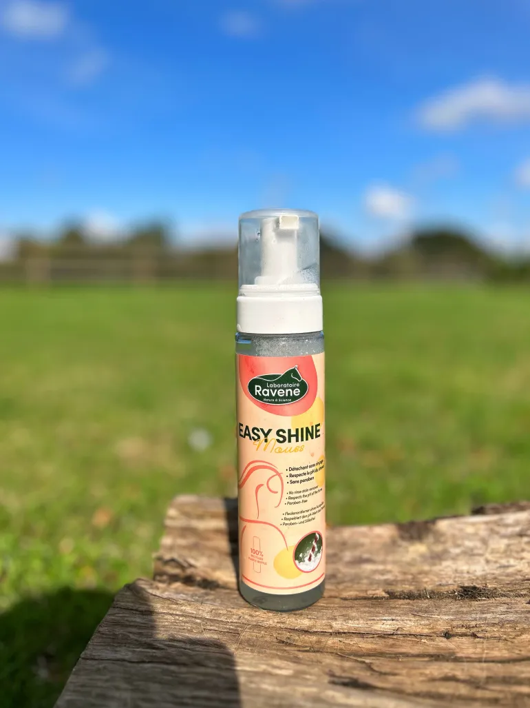 Shampoing à sec Easy shine Mouss 200ml RAVENE